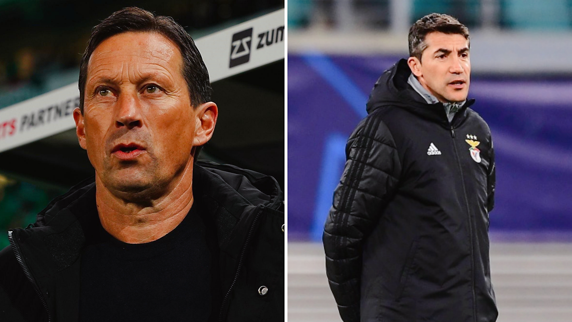 本菲卡发布备战花絮,转会期单刀错失,意大利杯任务艰巨,医务组通报恢复的简单介绍 本菲卡发布备战花絮,转会期单刀错失,意大利杯任务艰巨,医务组通报恢复的简单介绍