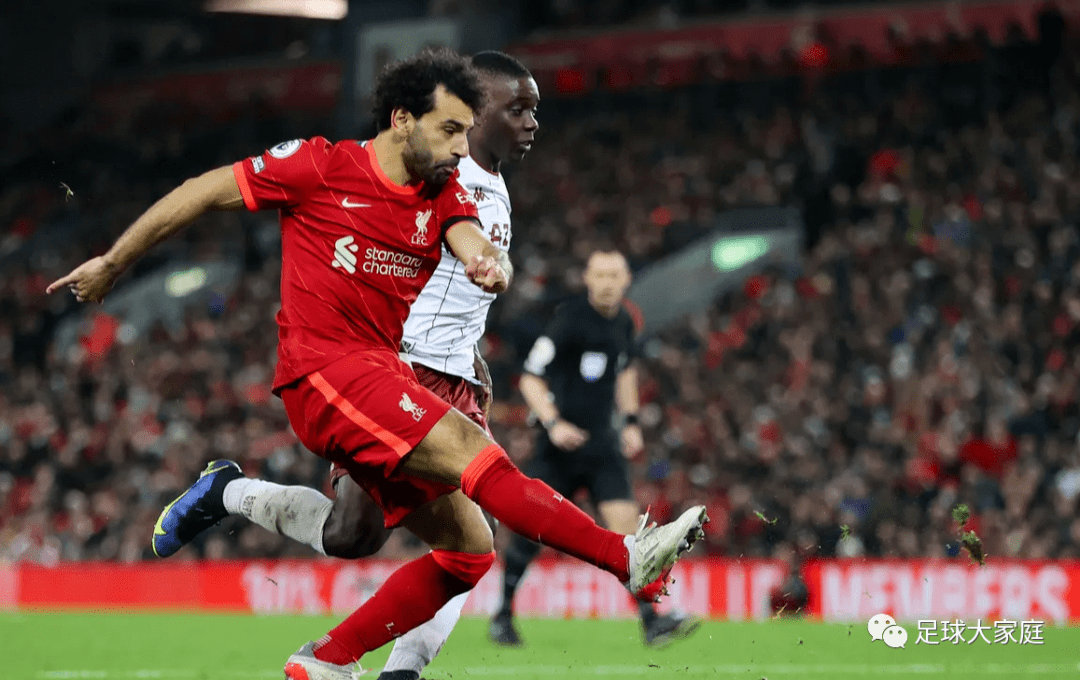 关于密尔沃基雄鹿训练开放日；国际比赛日豪取连胜引欢呼；英超在即；轮换策略成焦点的信息